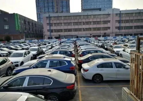 汽車廠賣不出的庫存車，最終流向何方？購車者須知